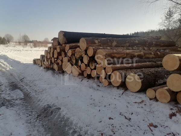 Фото заготовки зимнего леса